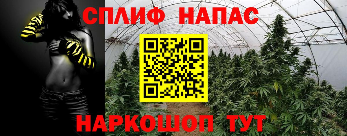 Каннабис конопля Шадринск